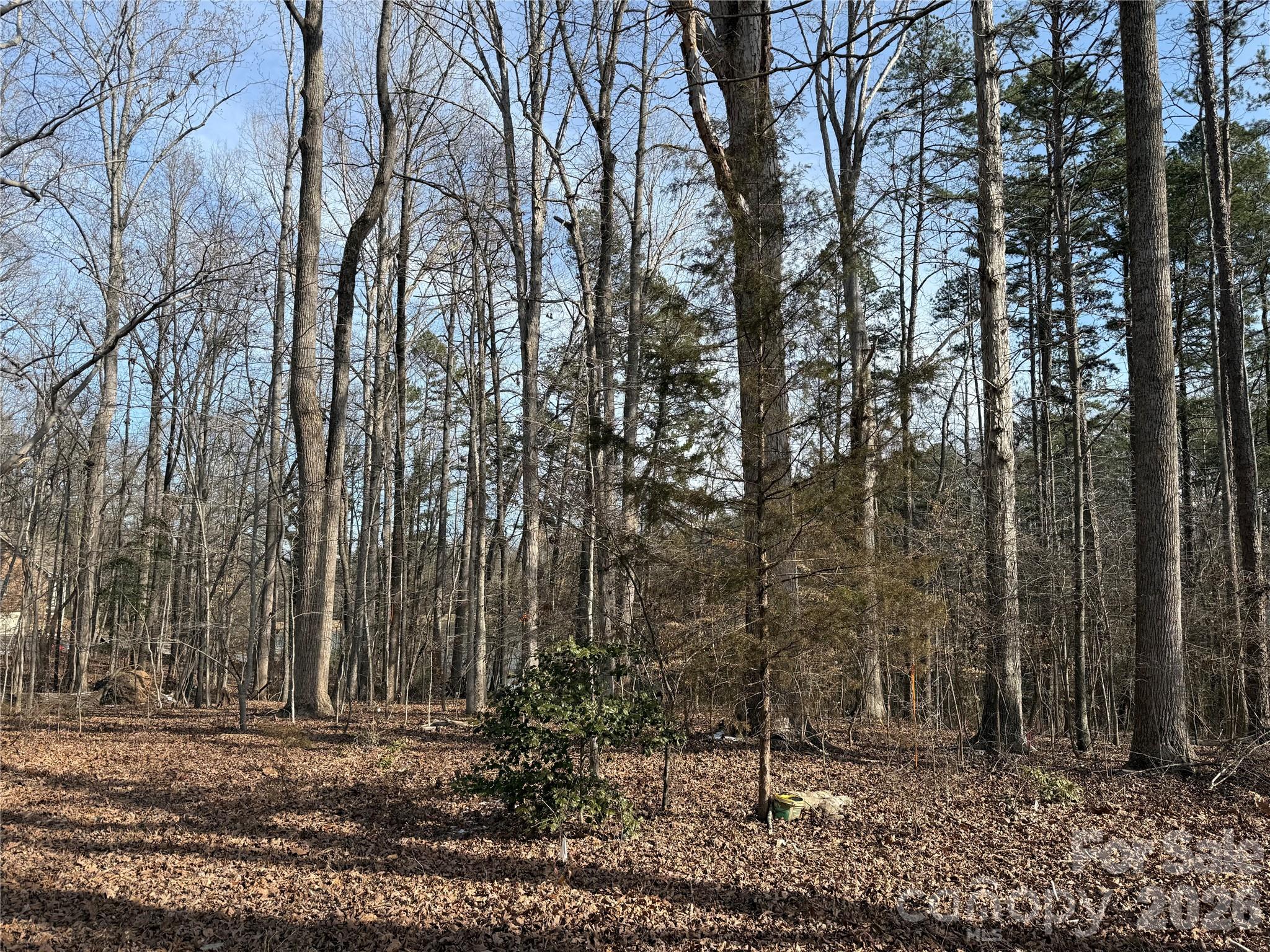 Irongate Farm - Land