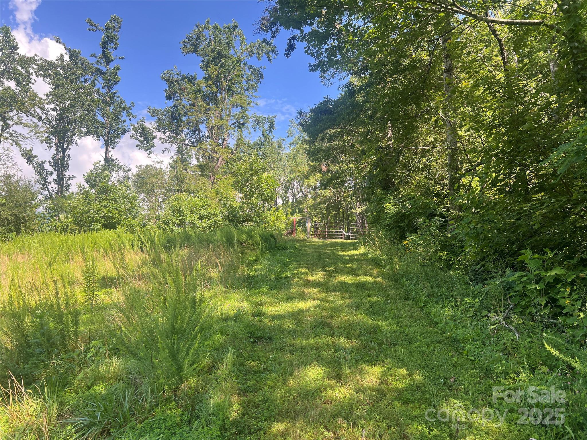 100 Mountain Field Lane