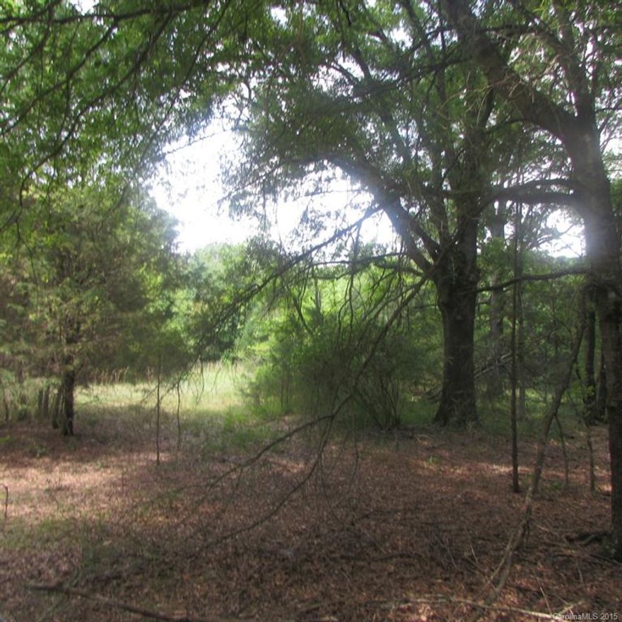 Perfect place for your mini farm!  Privacy abounds on this almost twelve acre parcel.  Beautiful choice homesites as well.  Country living at it's best with low county taxes.