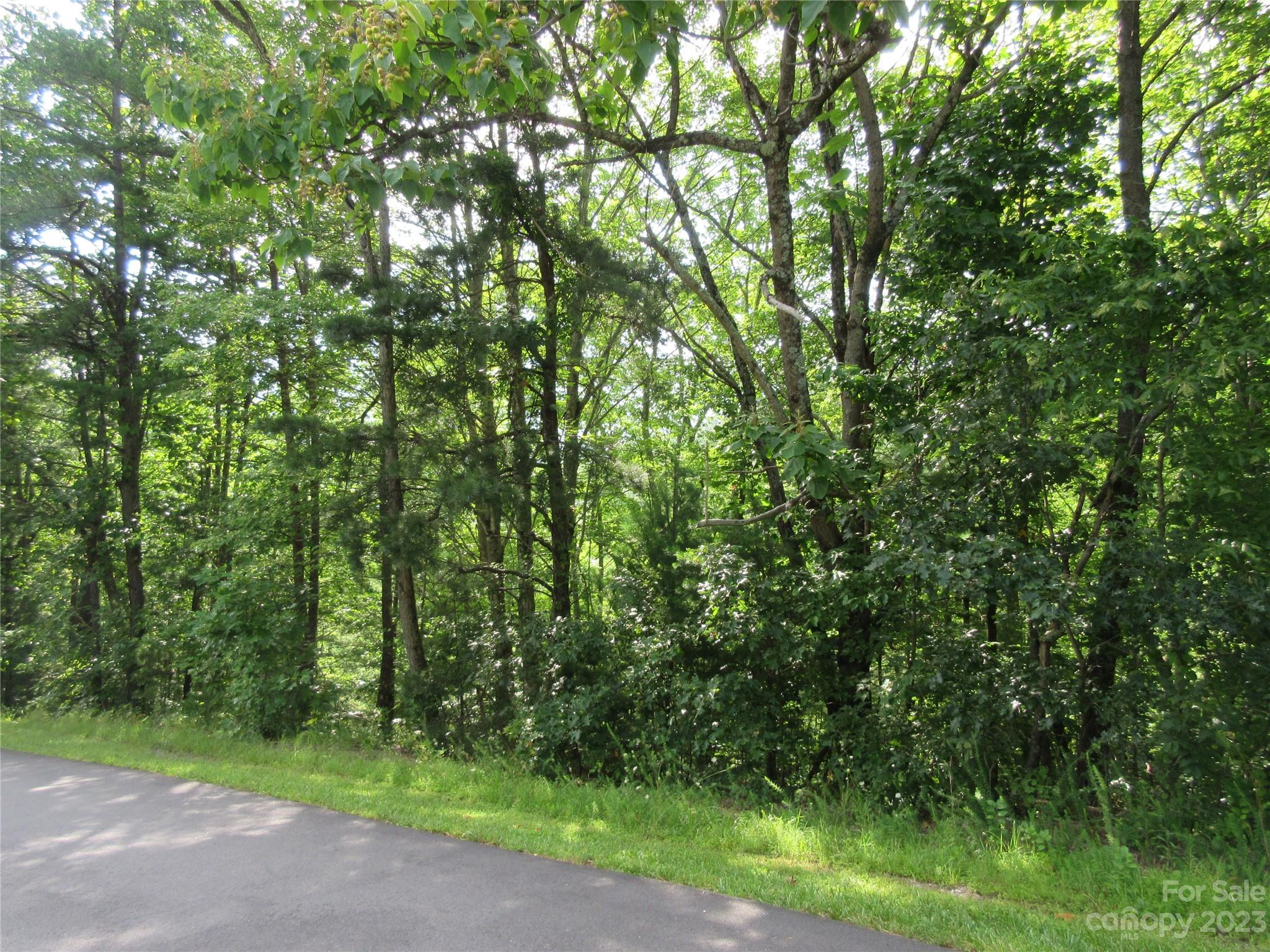 Lot 28 Linville Drive