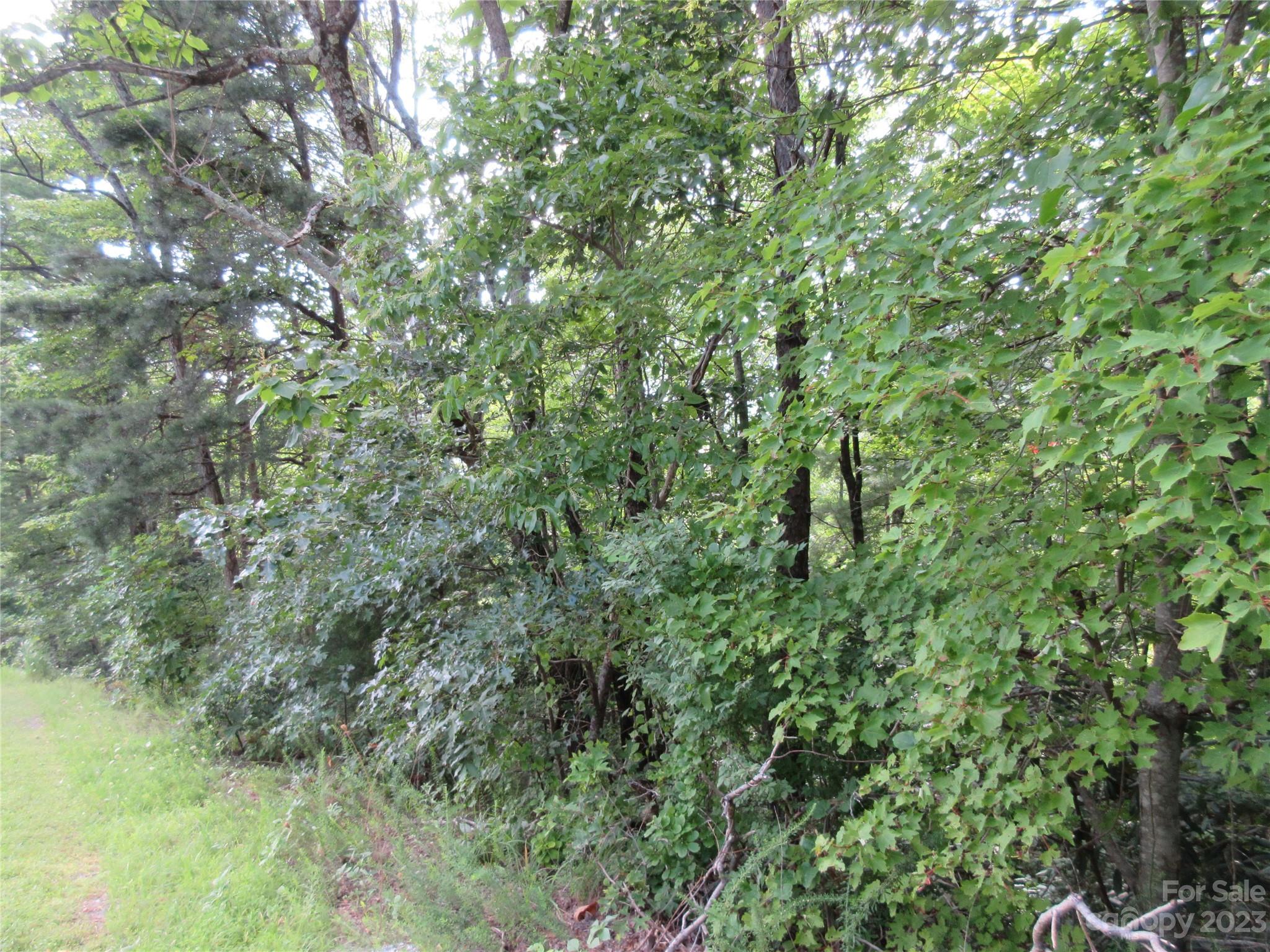 Lot 28 Linville Drive