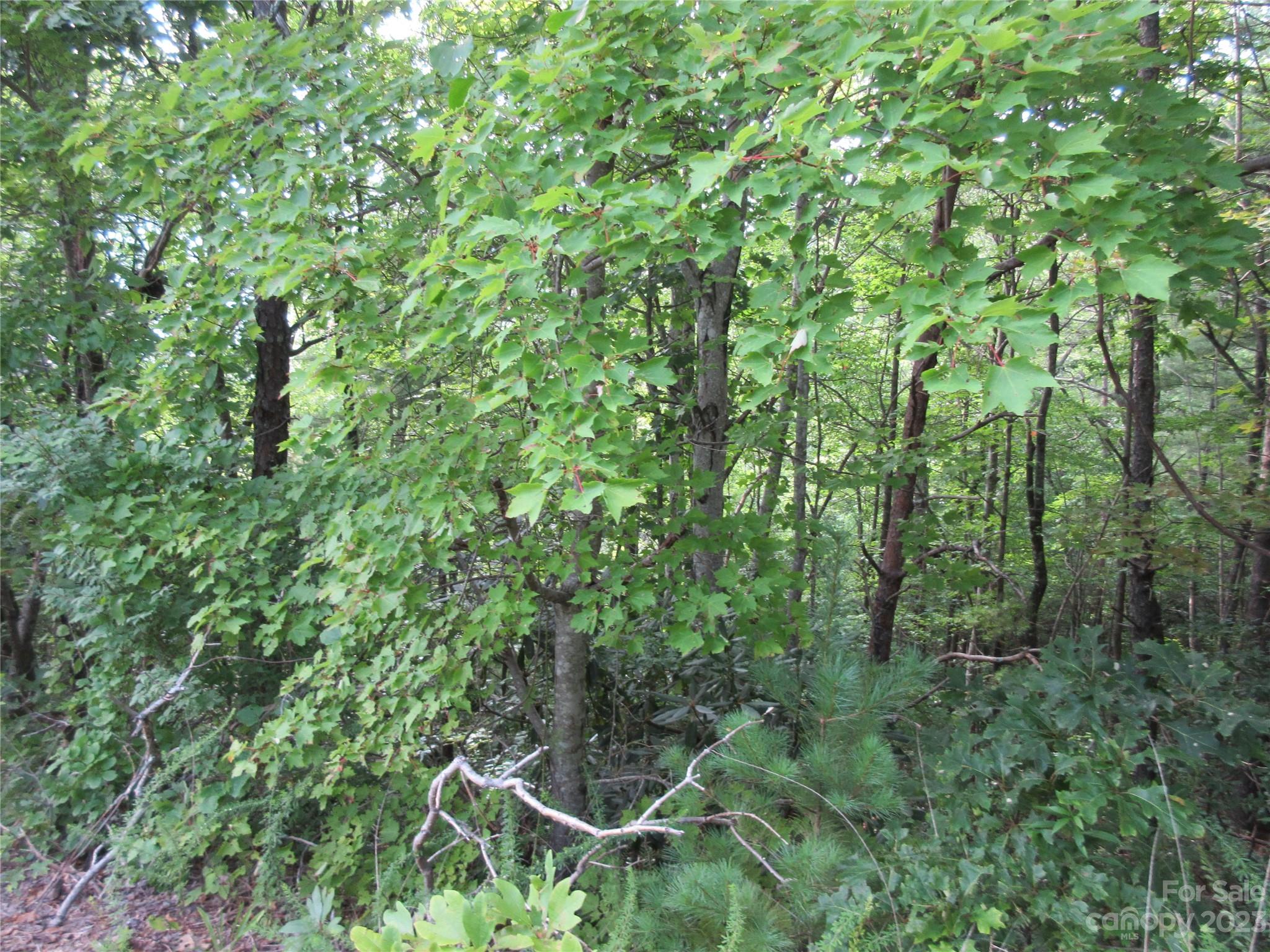 Lot 28 Linville Drive