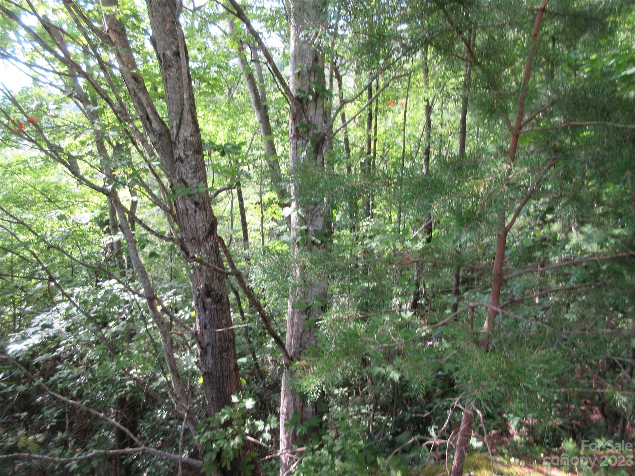 Lot 28 Linville Drive