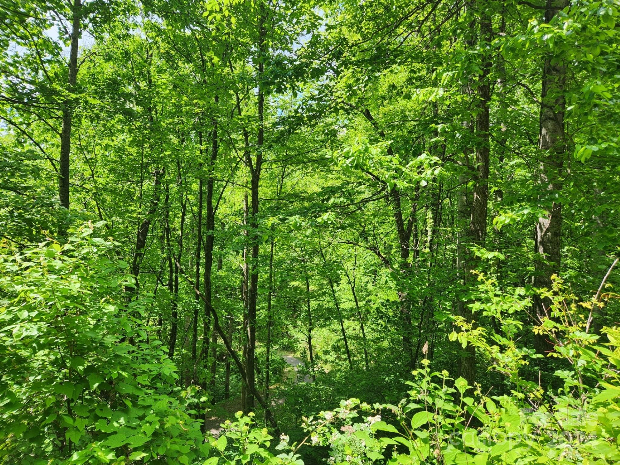 000 Chandra Lane 402