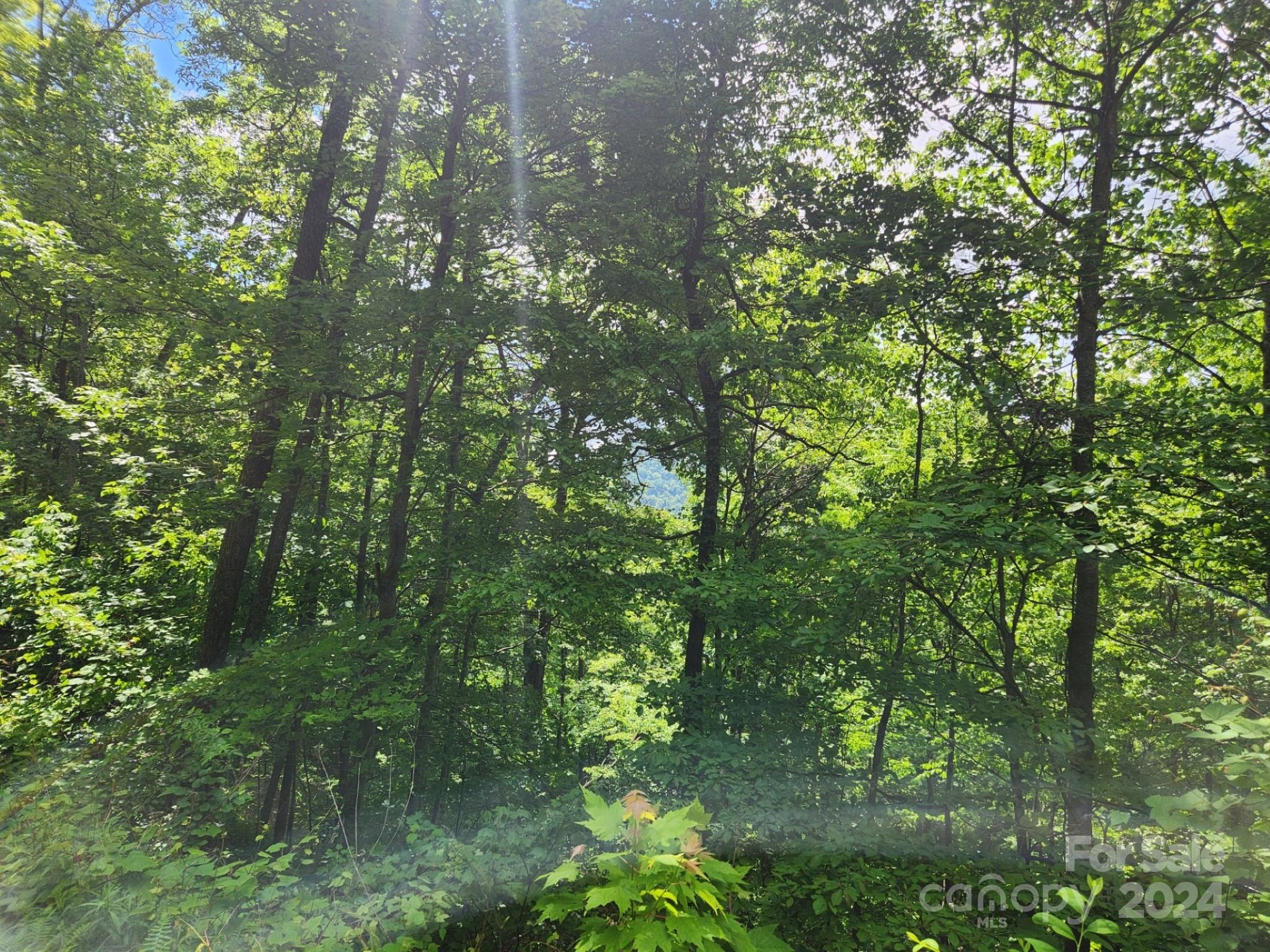 000 Chandra Lane 402