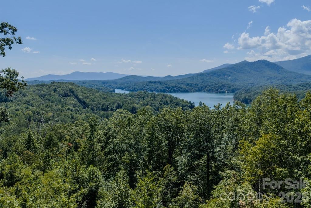 167 Hawks Nest Trail