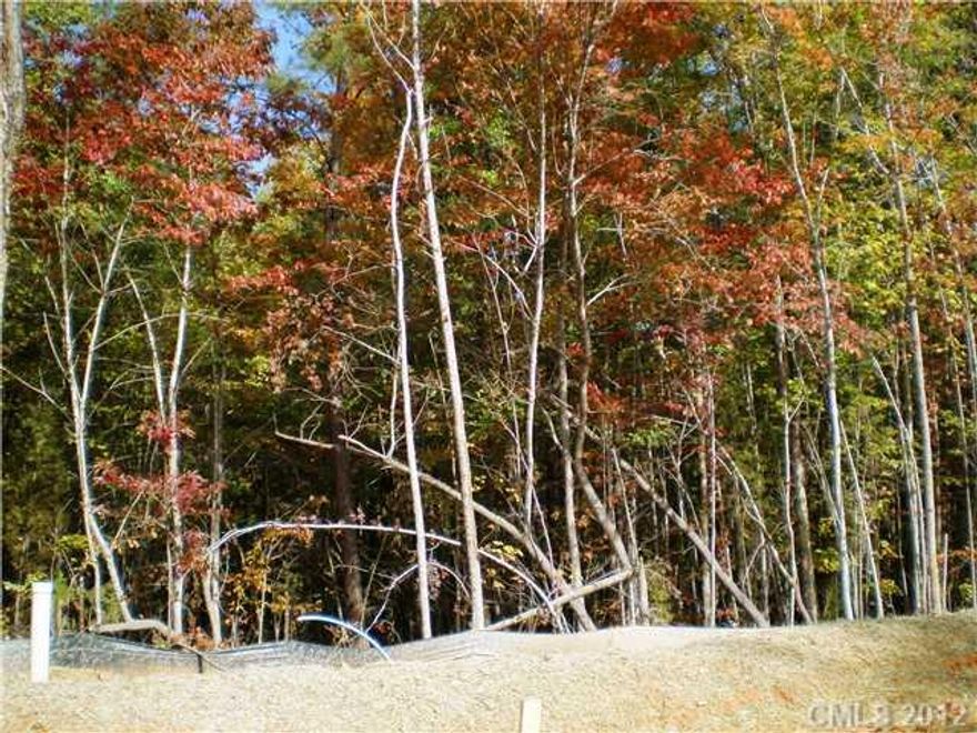 WOODED - GREAT BASEMENT SITE - VERY PRIVATE BACK