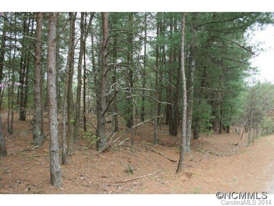 Nice land approved for multi-family residential construction. Just minutes from Asheville Mall and downtown. Located in the Haw Creek area.