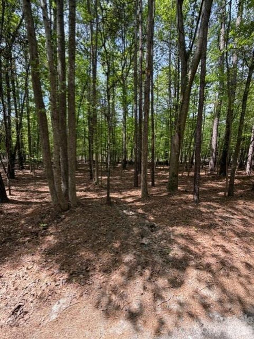 This +/- 1.95 acre wooded lot offers privacy and endless possibilities for your next build or investment. Remnants of a previous structure are present; condition is unknown and being sold as-is.