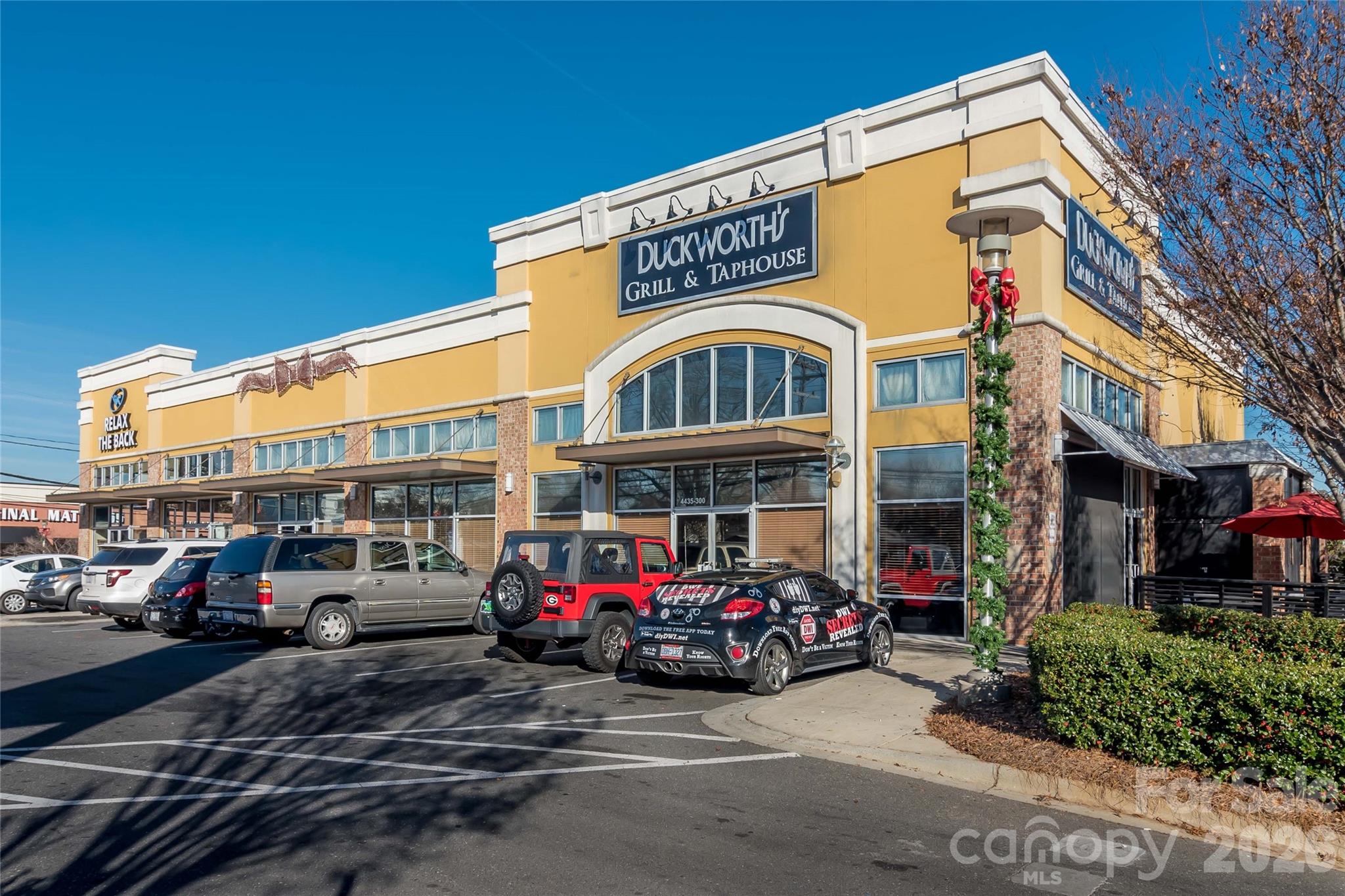 Selwyn Commons - Residential