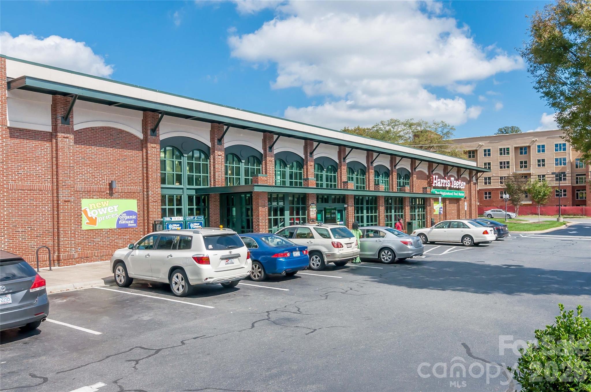 Selwyn Commons - Residential