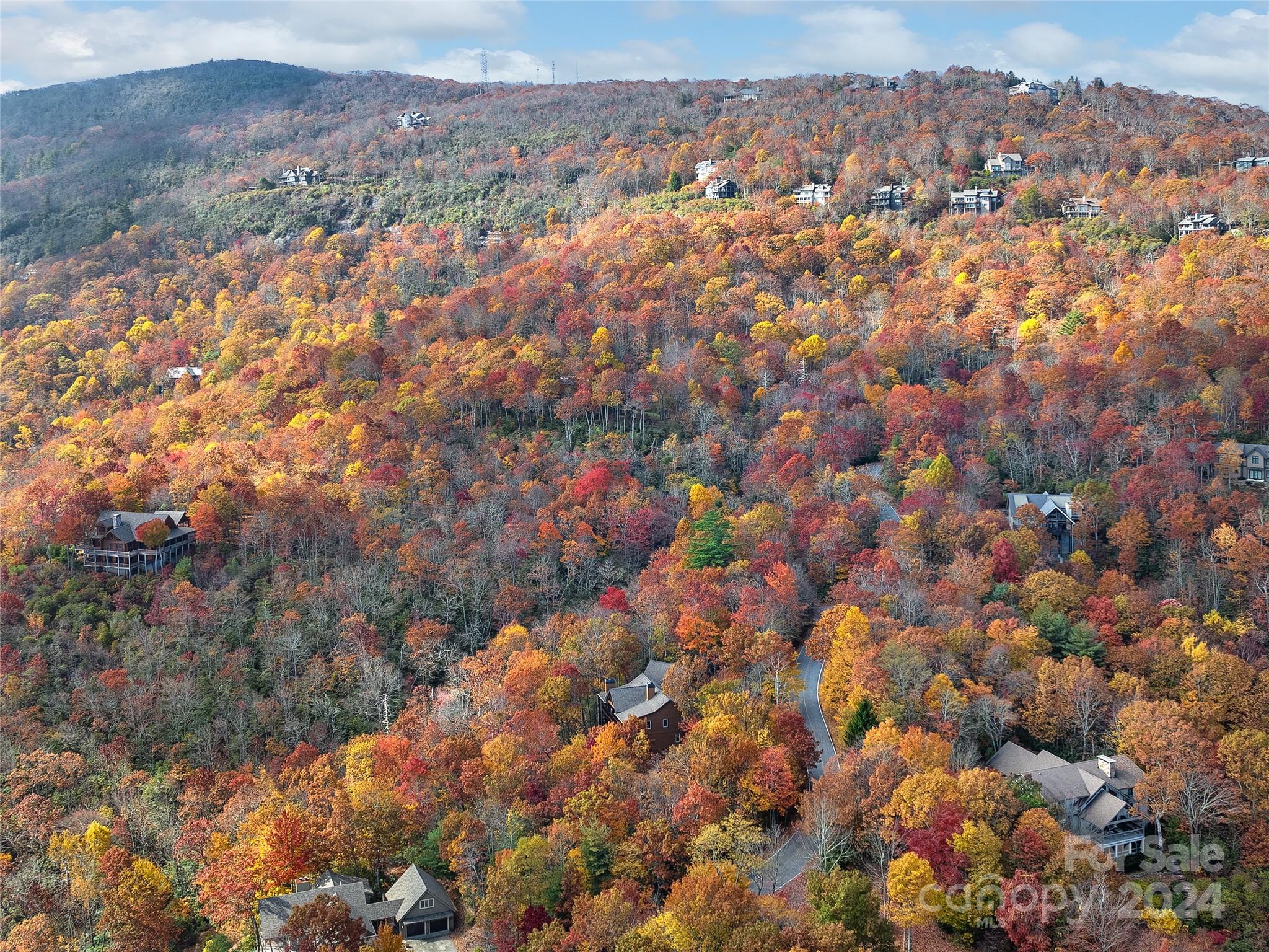Lake Toxaway Estates - Residential