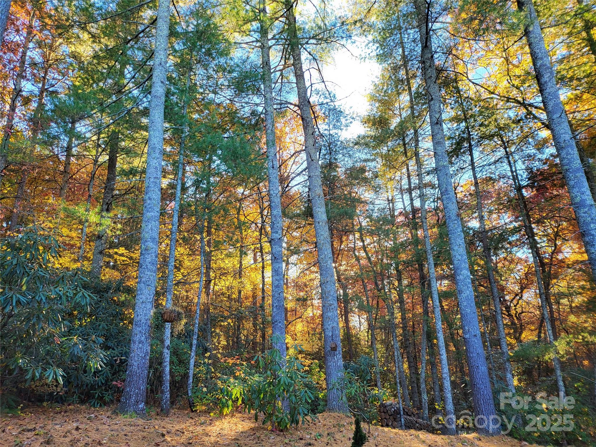 Corbran Woods - Residential