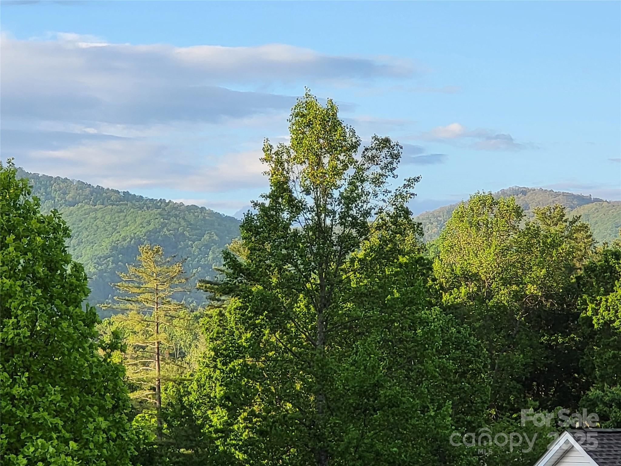 Corbran Woods - Residential