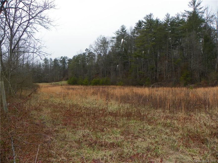 9.41 private acres in Weaverville.  Some pasture, some woods, 2 barns.  Perfect for private estate, farming, animals, etc.  Just minutes from schools, restaurants, shopping, and charming downtown Weaverville. Survey attached.