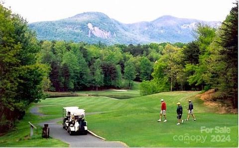 A home in Lake Lure