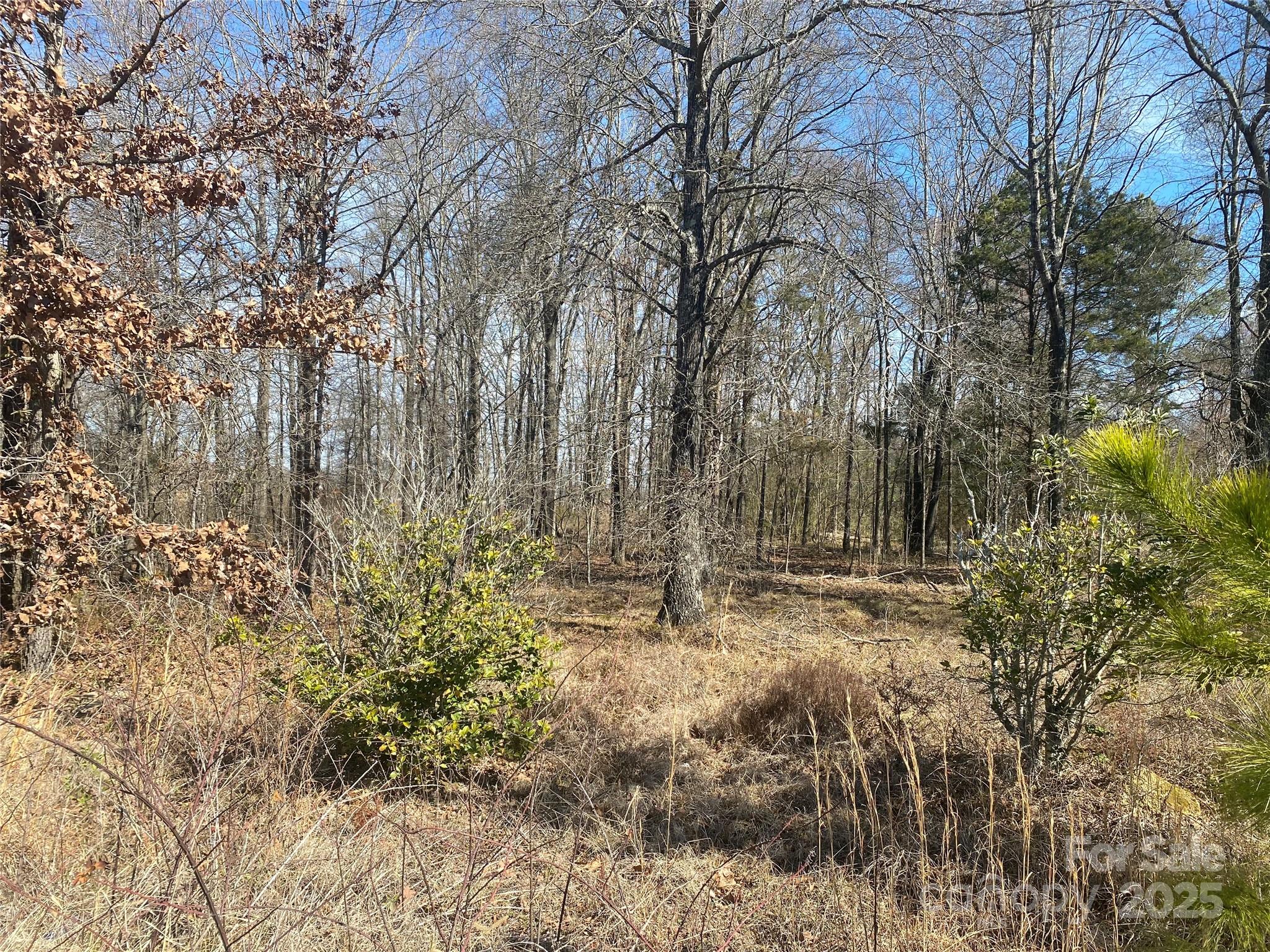 Bonterra - Commercial Sale