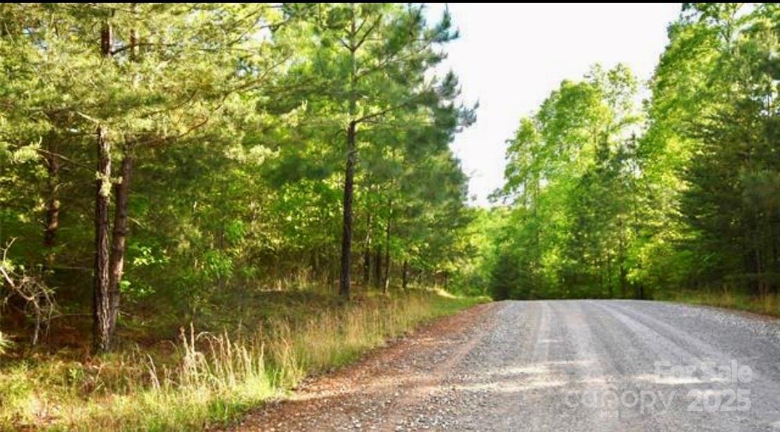 Blackberry Creek - Land