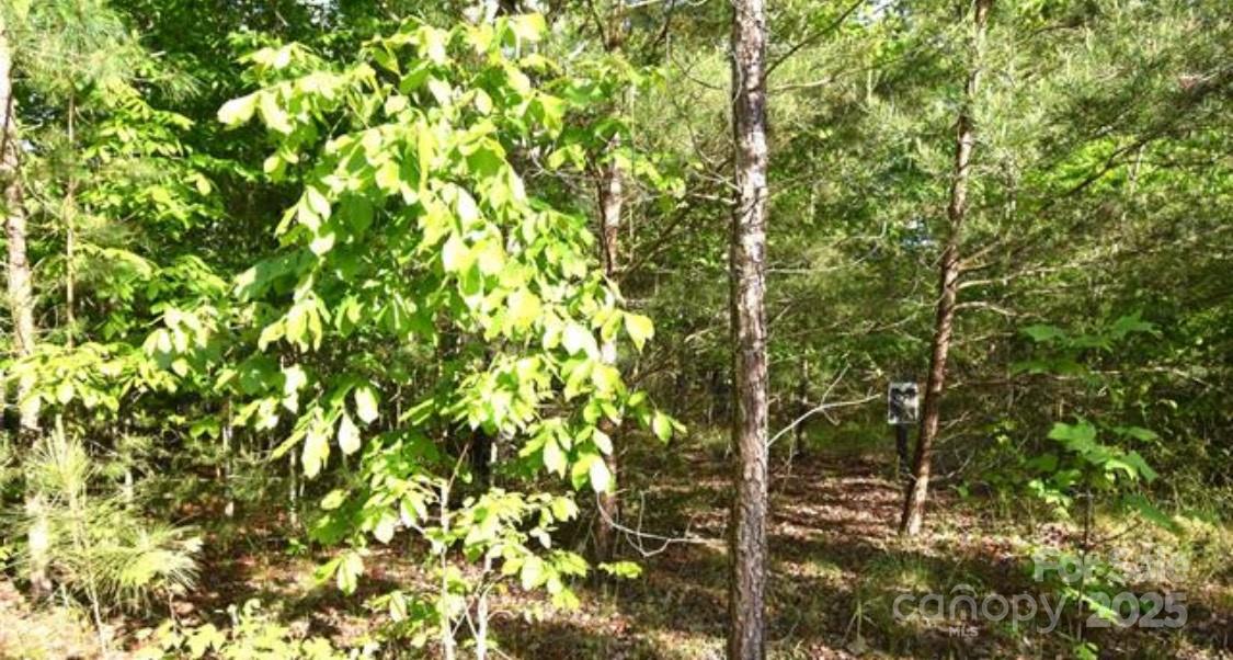 Blackberry Creek - Land