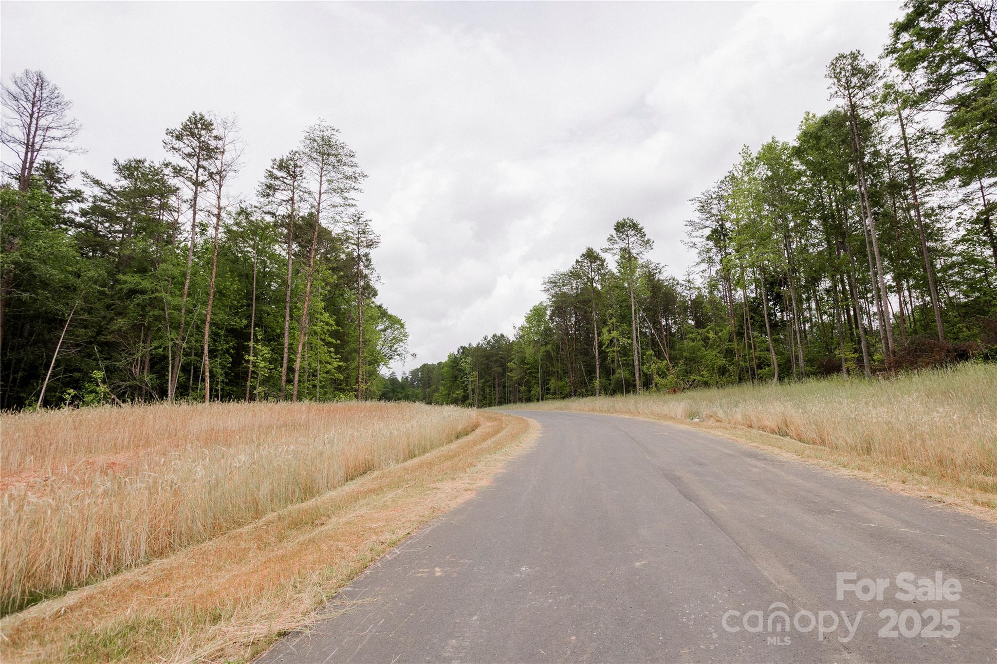 Southern Pine Lake - Land