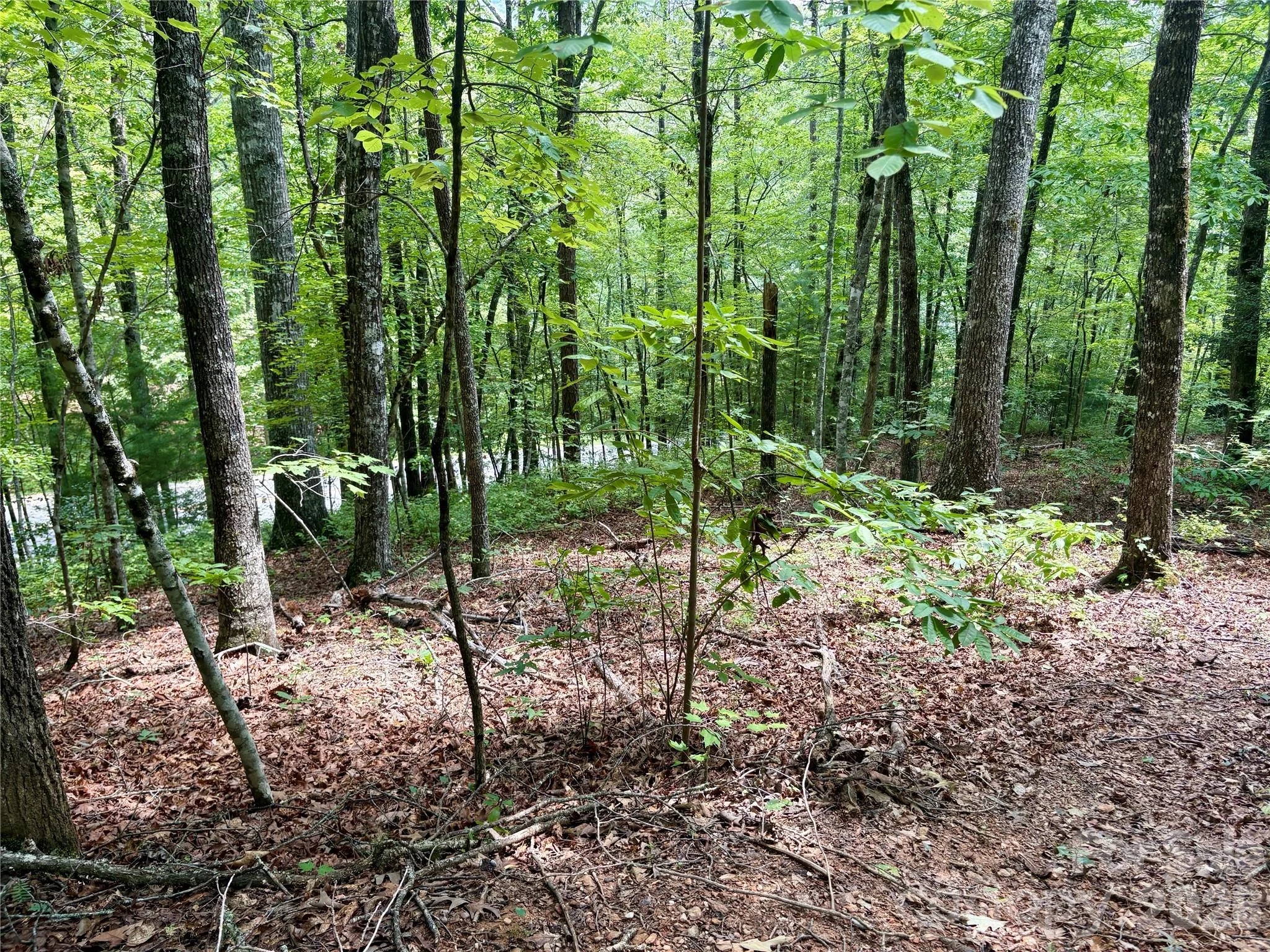 0 Watia Road, Bryson City, NC, 28713