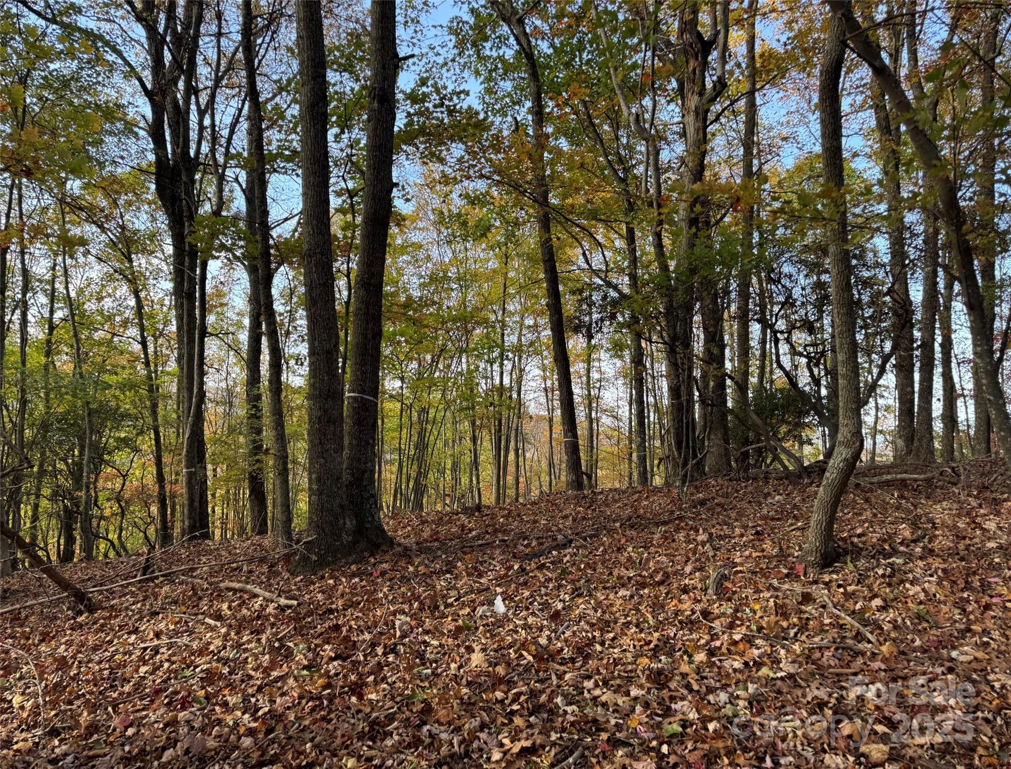 692 Blue Mist Way 205R