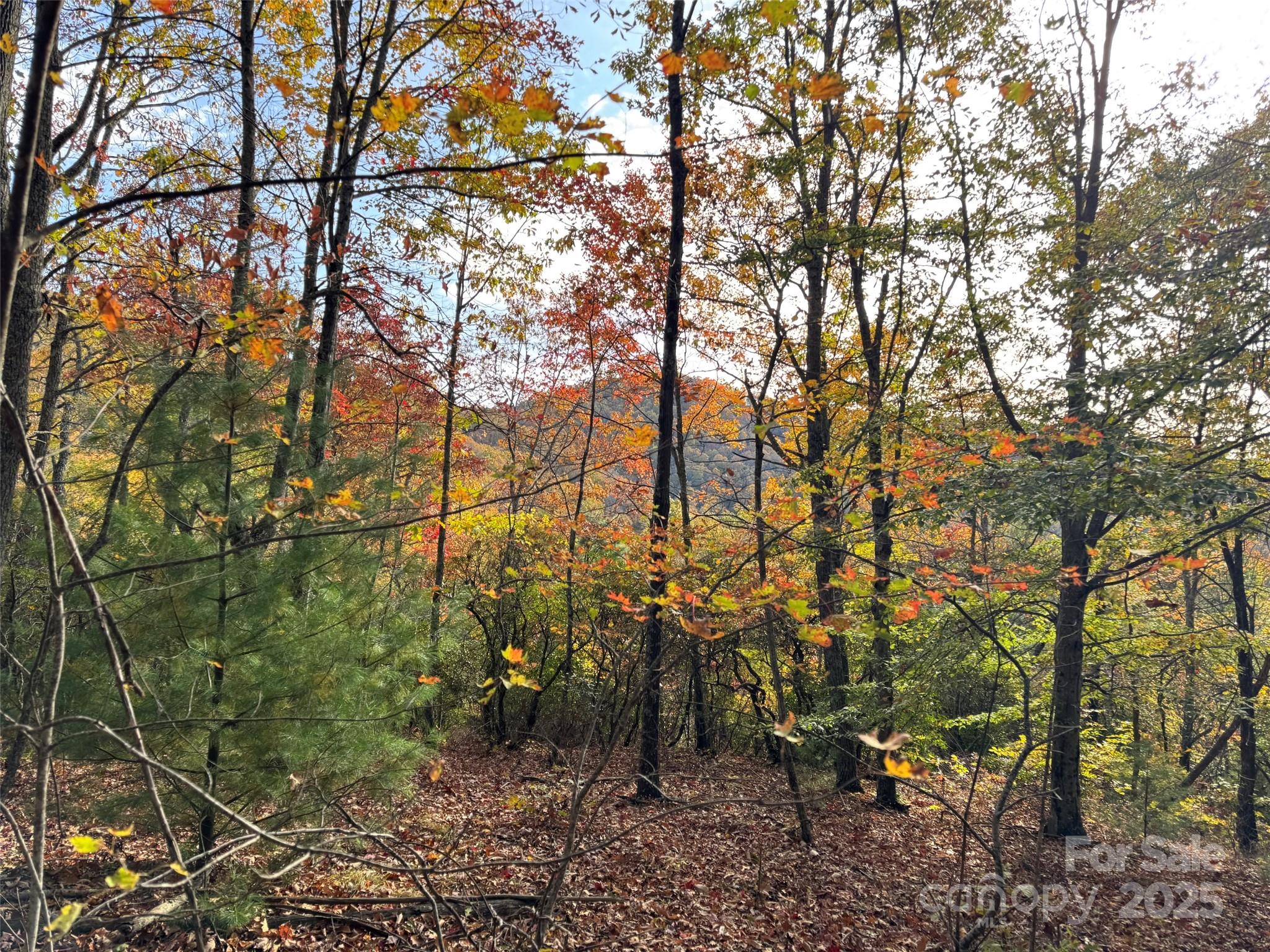 692 Blue Mist Way 205R