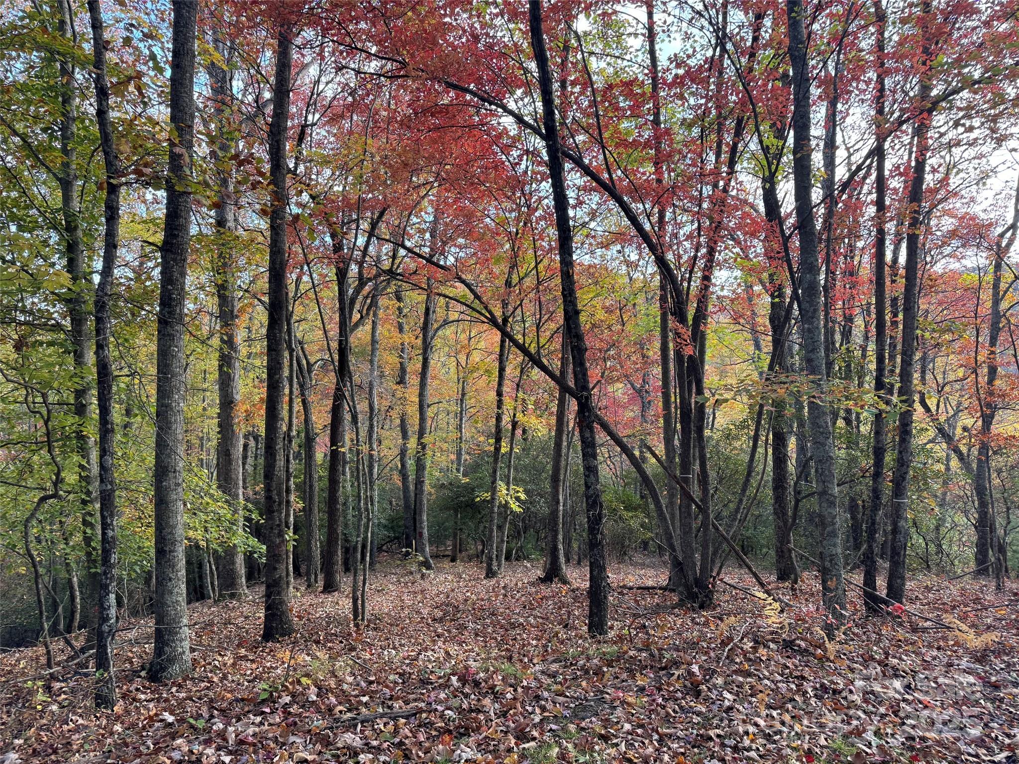 692 Blue Mist Way 205R