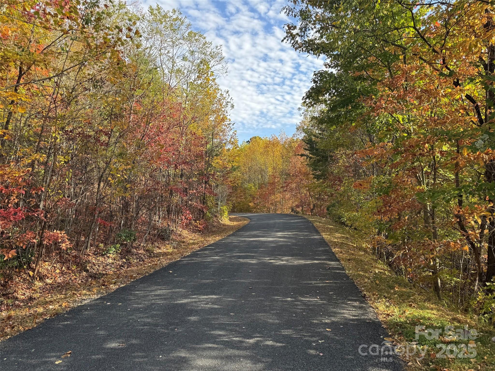 692 Blue Mist Way 205R