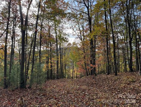 692 Blue Mist Way 205R Arden NC 28704