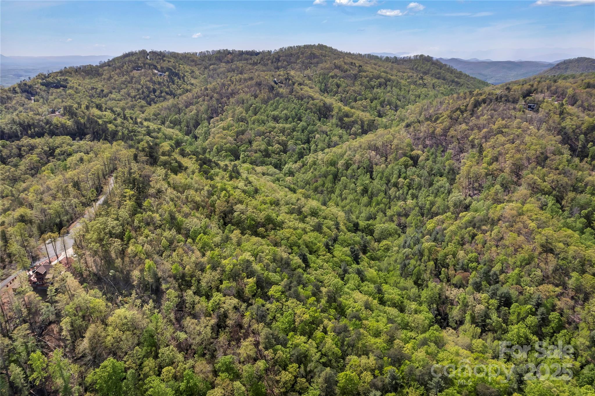Yellowtop Mountain Estates - Land