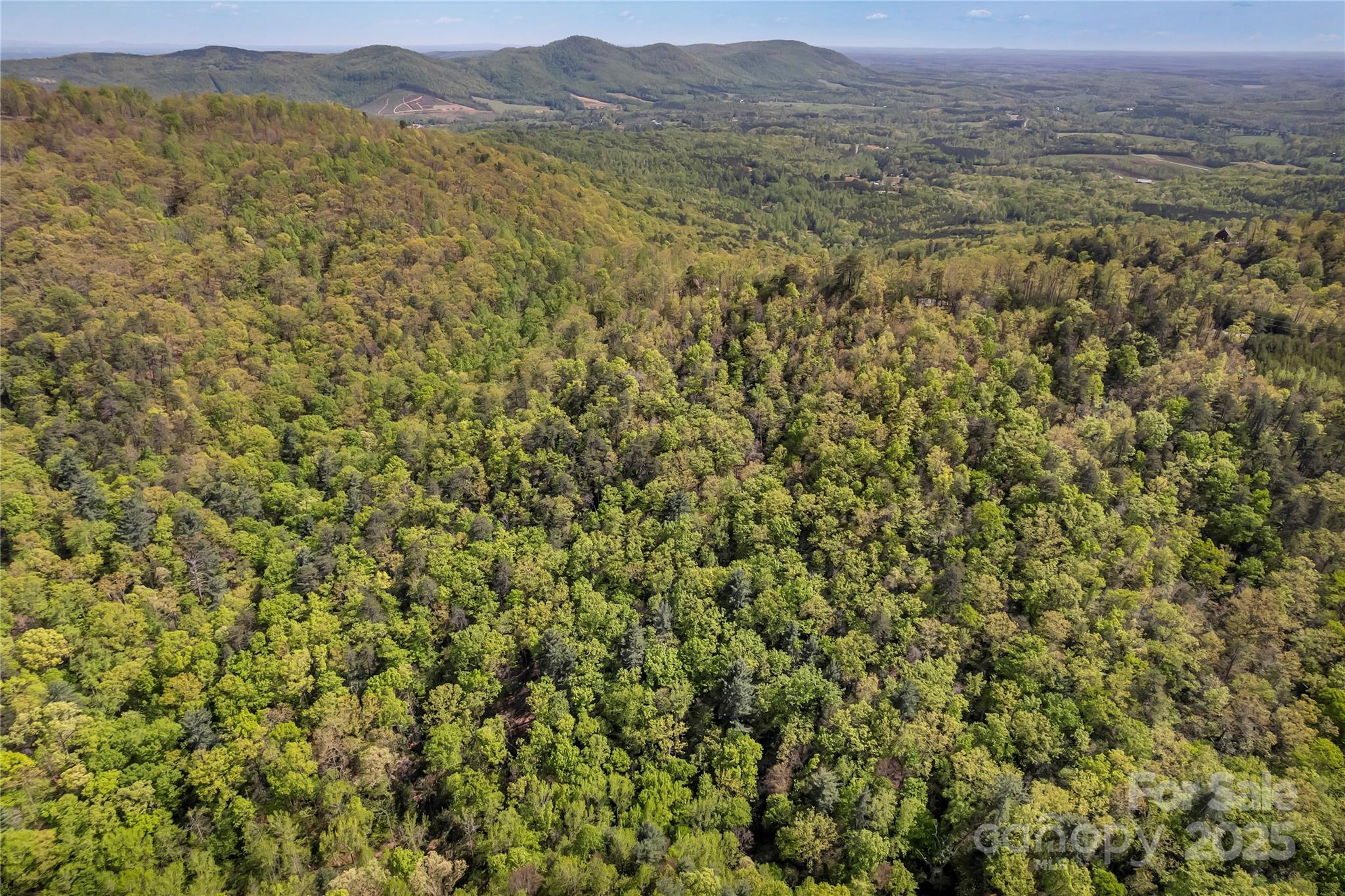 Yellowtop Mountain Estates - Land