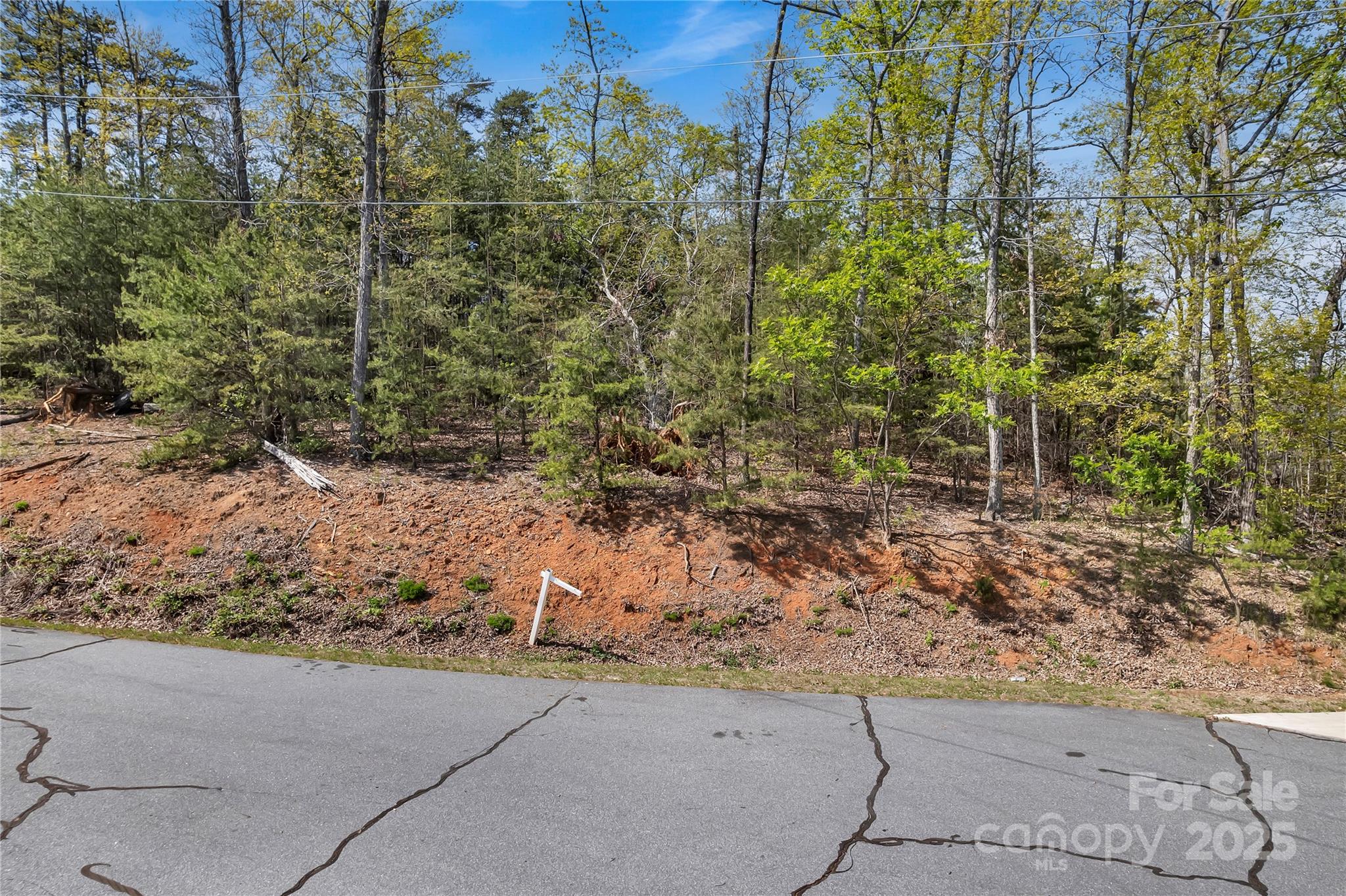 Yellowtop Mountain Estates - Land