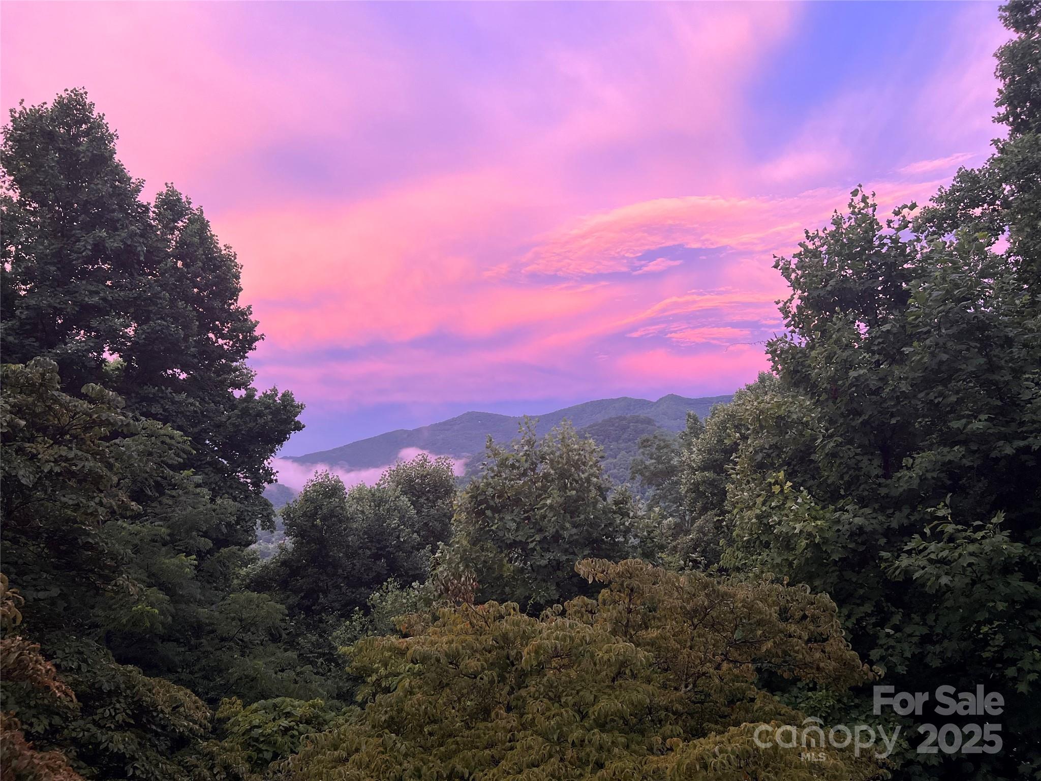 737 Setzer Cove Road