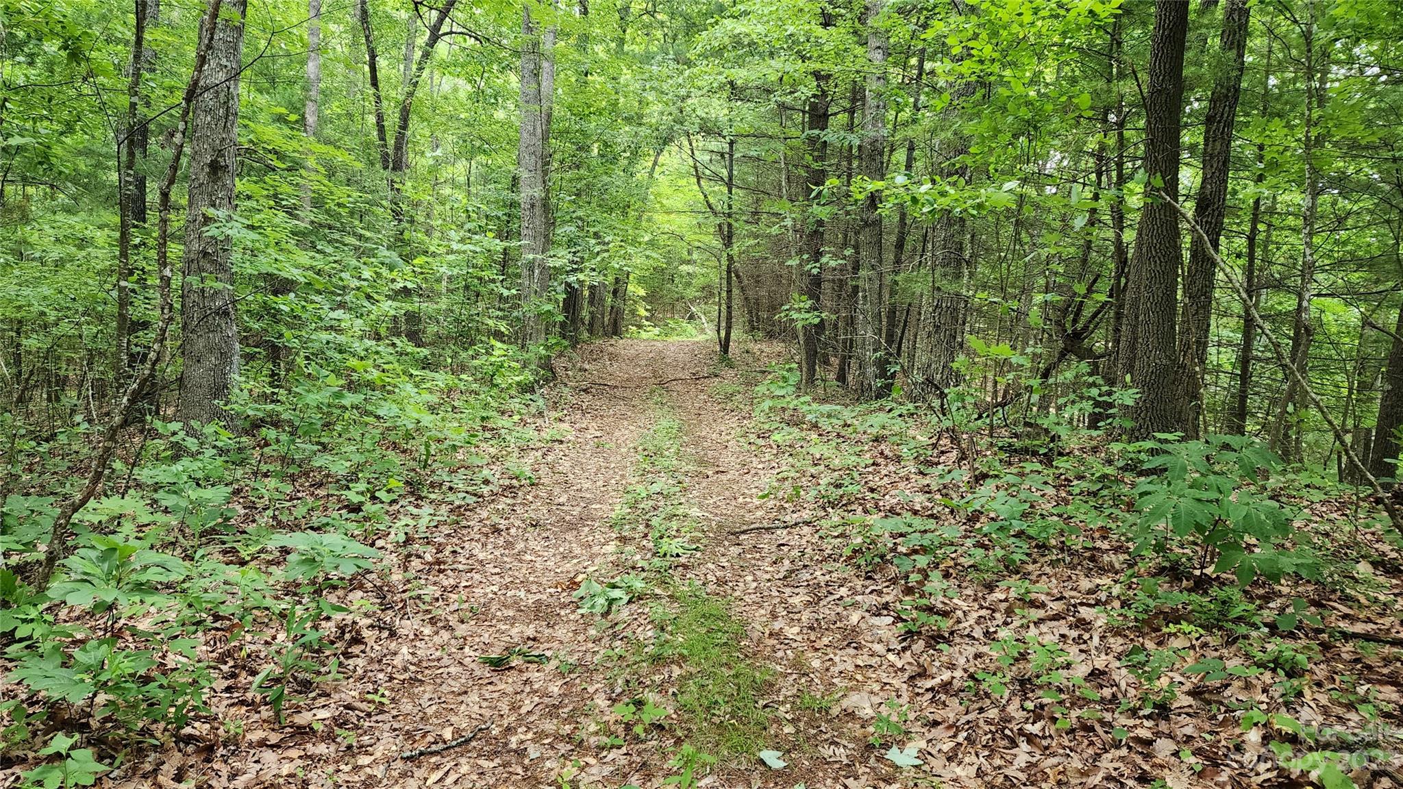 Hundred Acre Wood - Residential