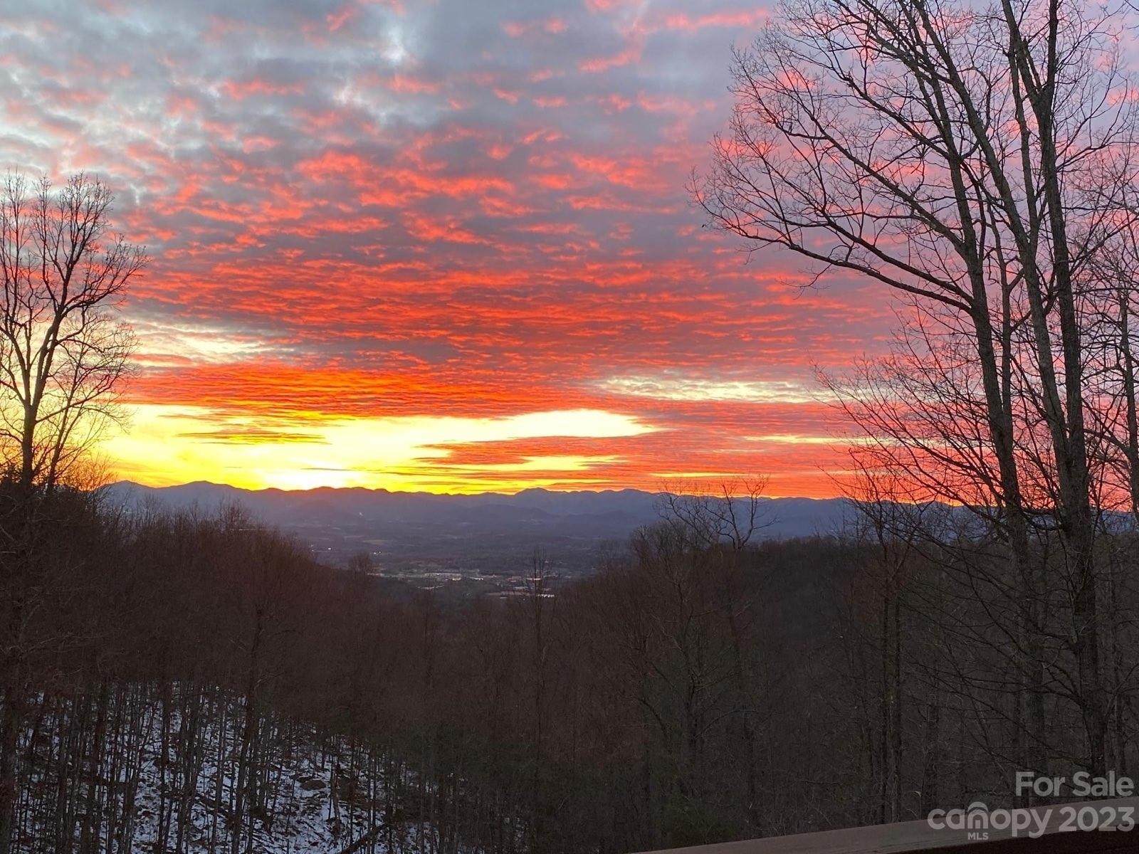 Hundred Acre Wood - Residential