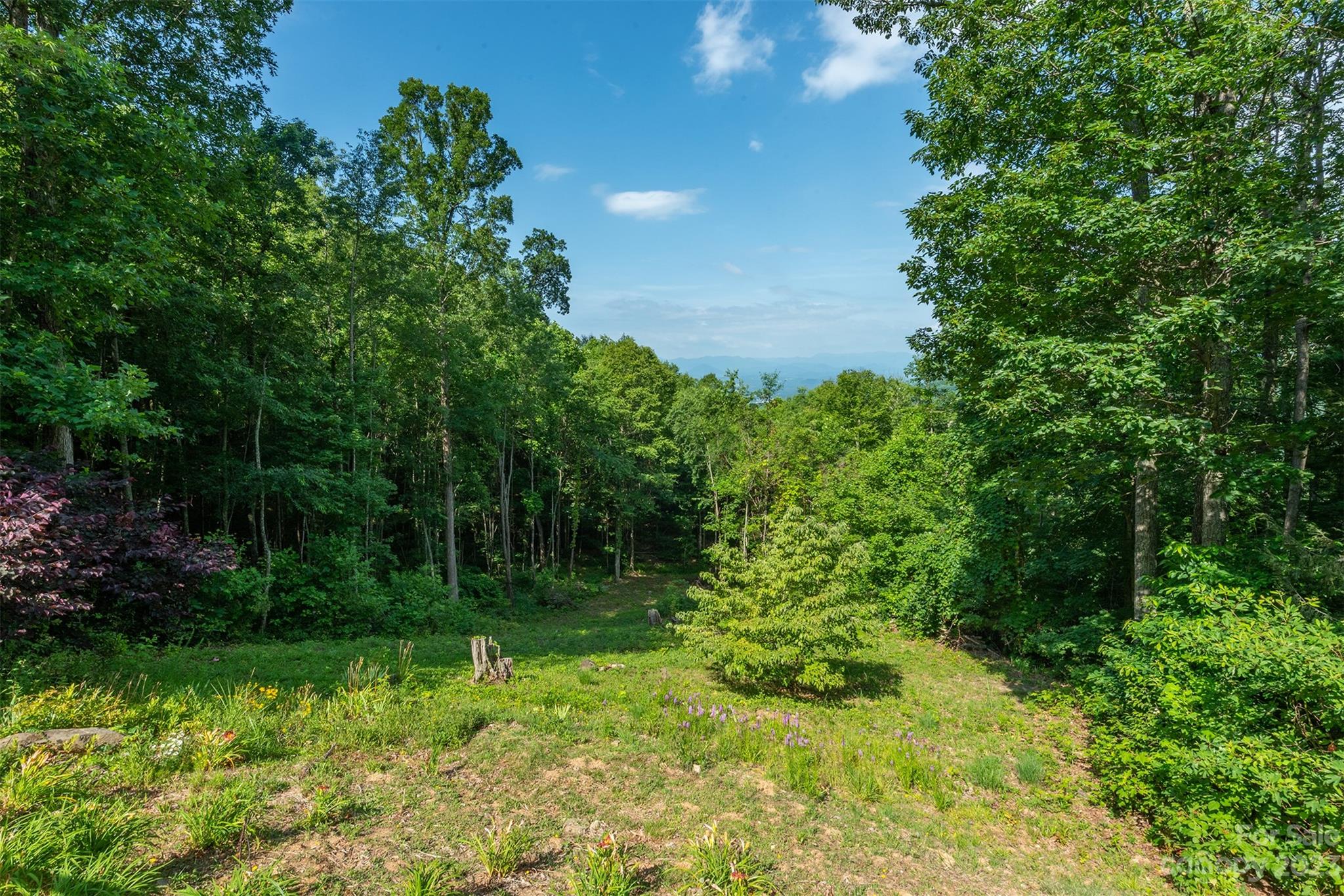 Hundred Acre Wood - Residential