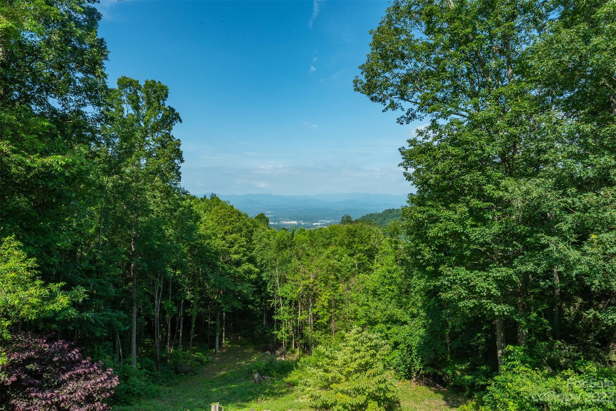 Hundred Acre Wood - Residential