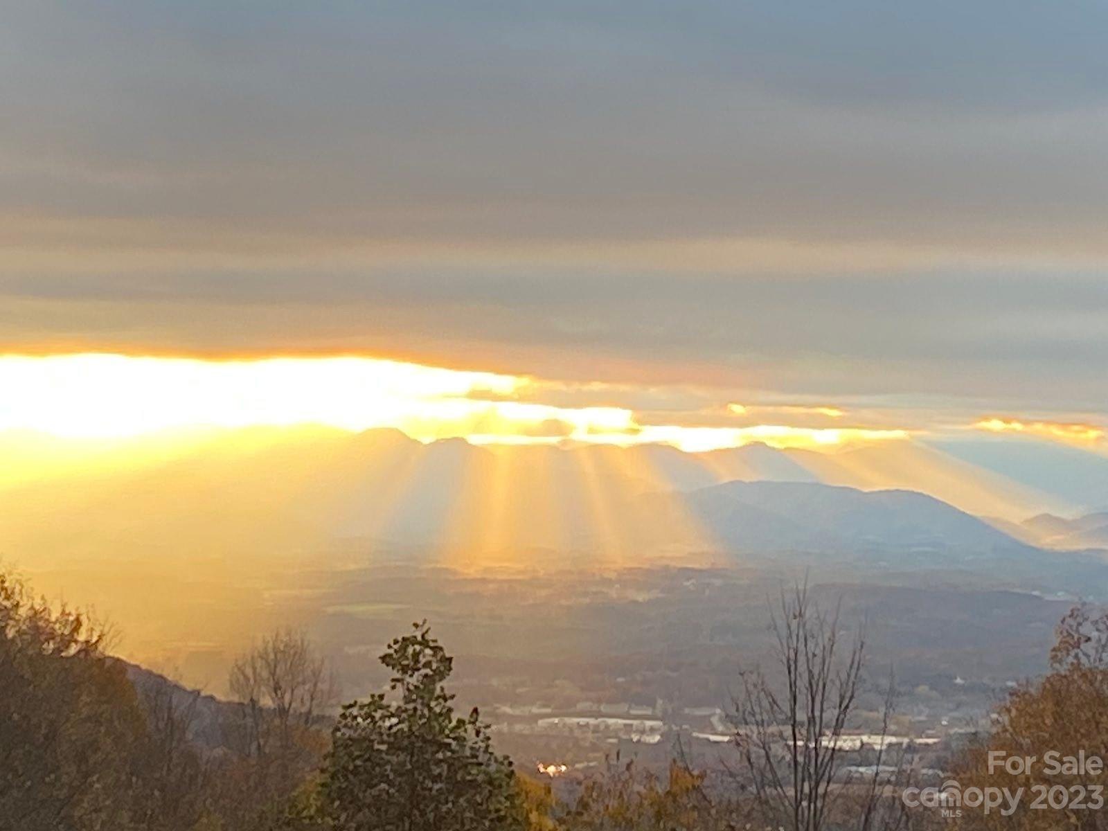 Hundred Acre Wood - Residential