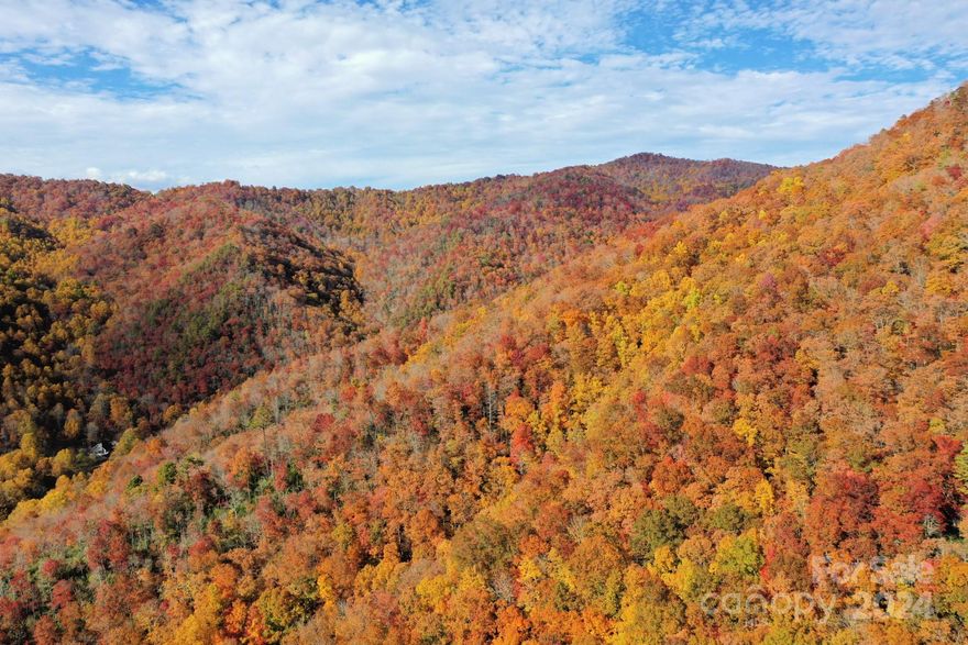 Beautiful 6 acres off Dicks Creek on Osceola Trails. This unrestricted 6 acres offers privacy, a creek, and borders USFS. This is the perfect place for your mountain home.