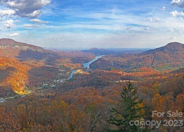 Rumbling Bald on Lake Lure - Residential
