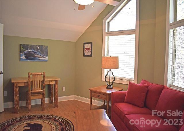 Rumbling Bald on Lake Lure - Residential