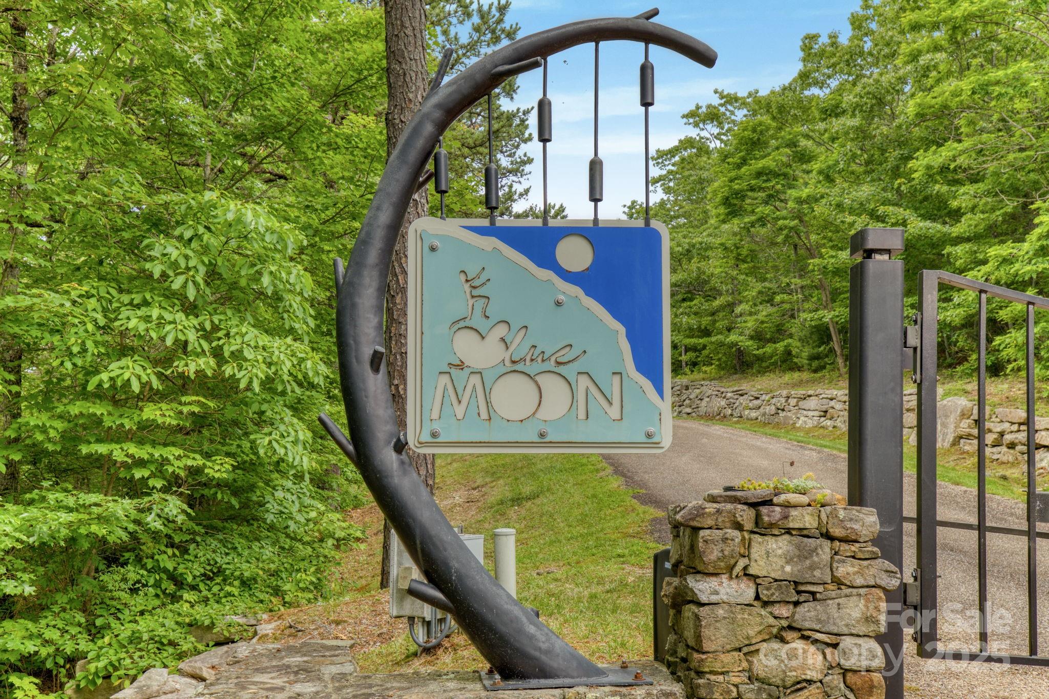 117 Sahalee Trail 2