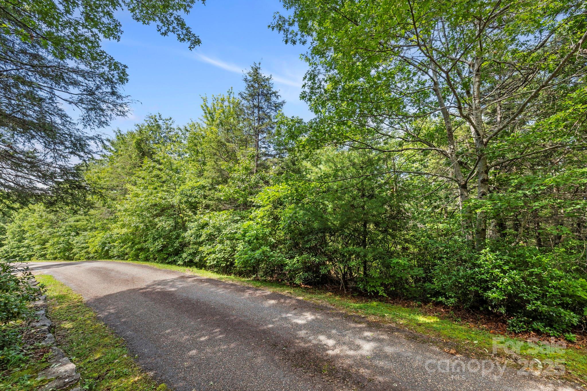 117 Sahalee Trail 2