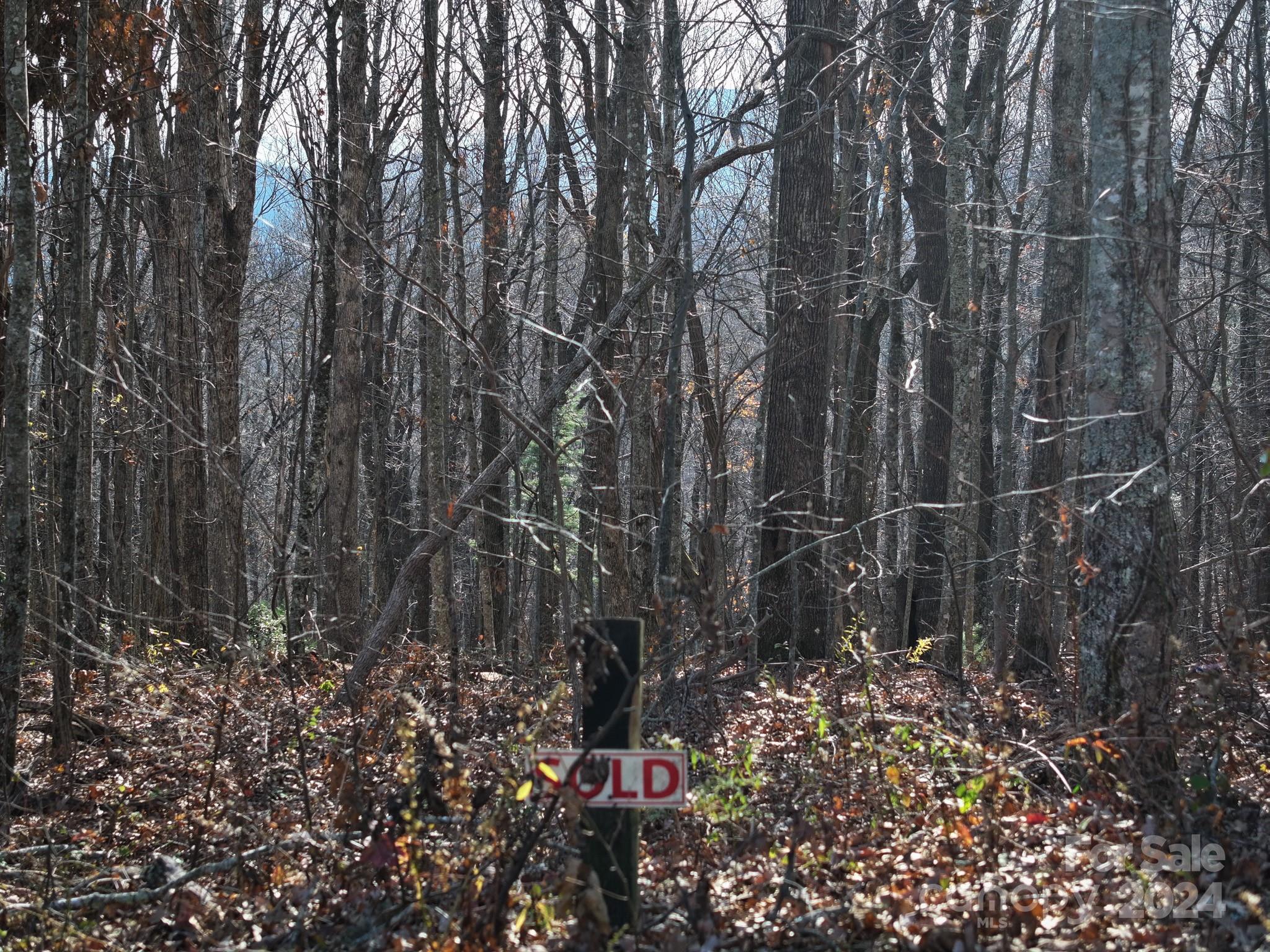 Grand Highlands at Bearwallow - Land