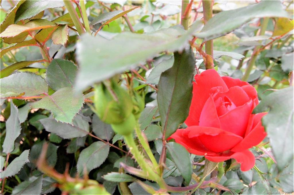 Harris Village - Residential