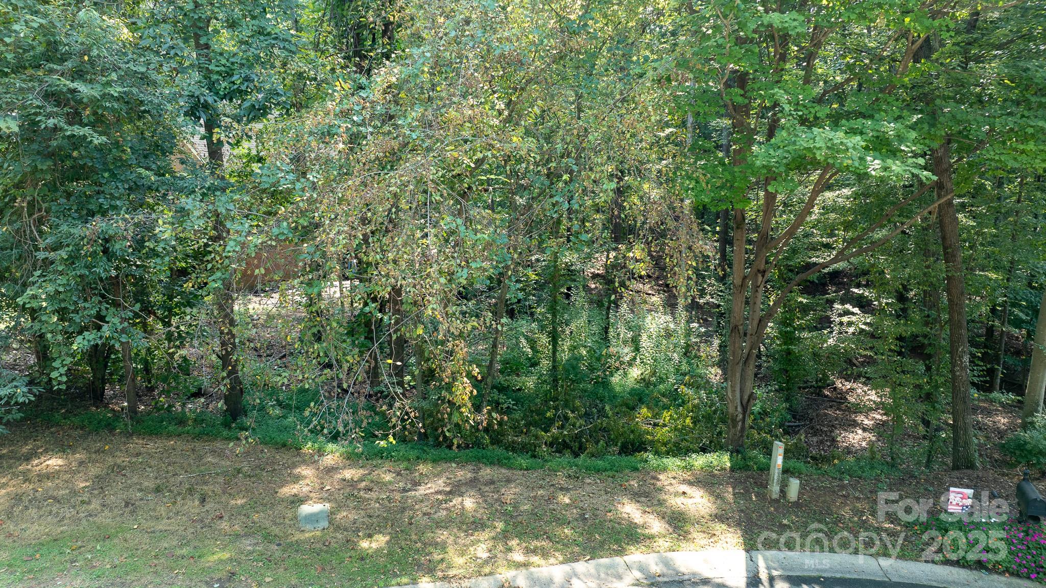 00 Hawkes Bay Court 121