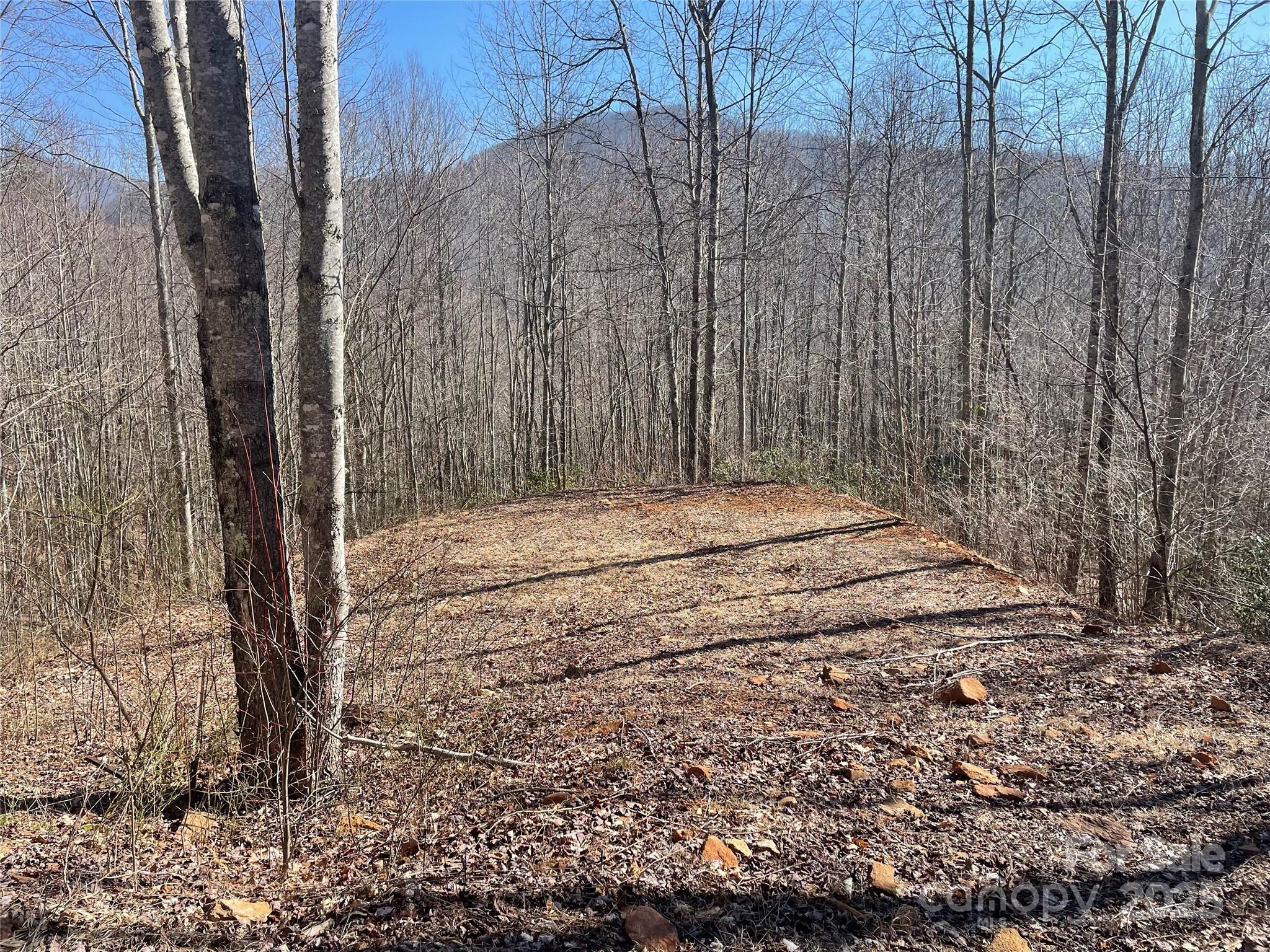 Lt 264 Cabin Flats Road 264