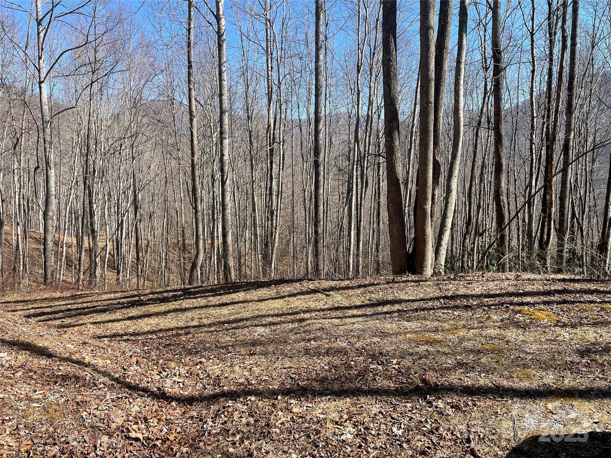 Lt 264 Cabin Flats Road 264