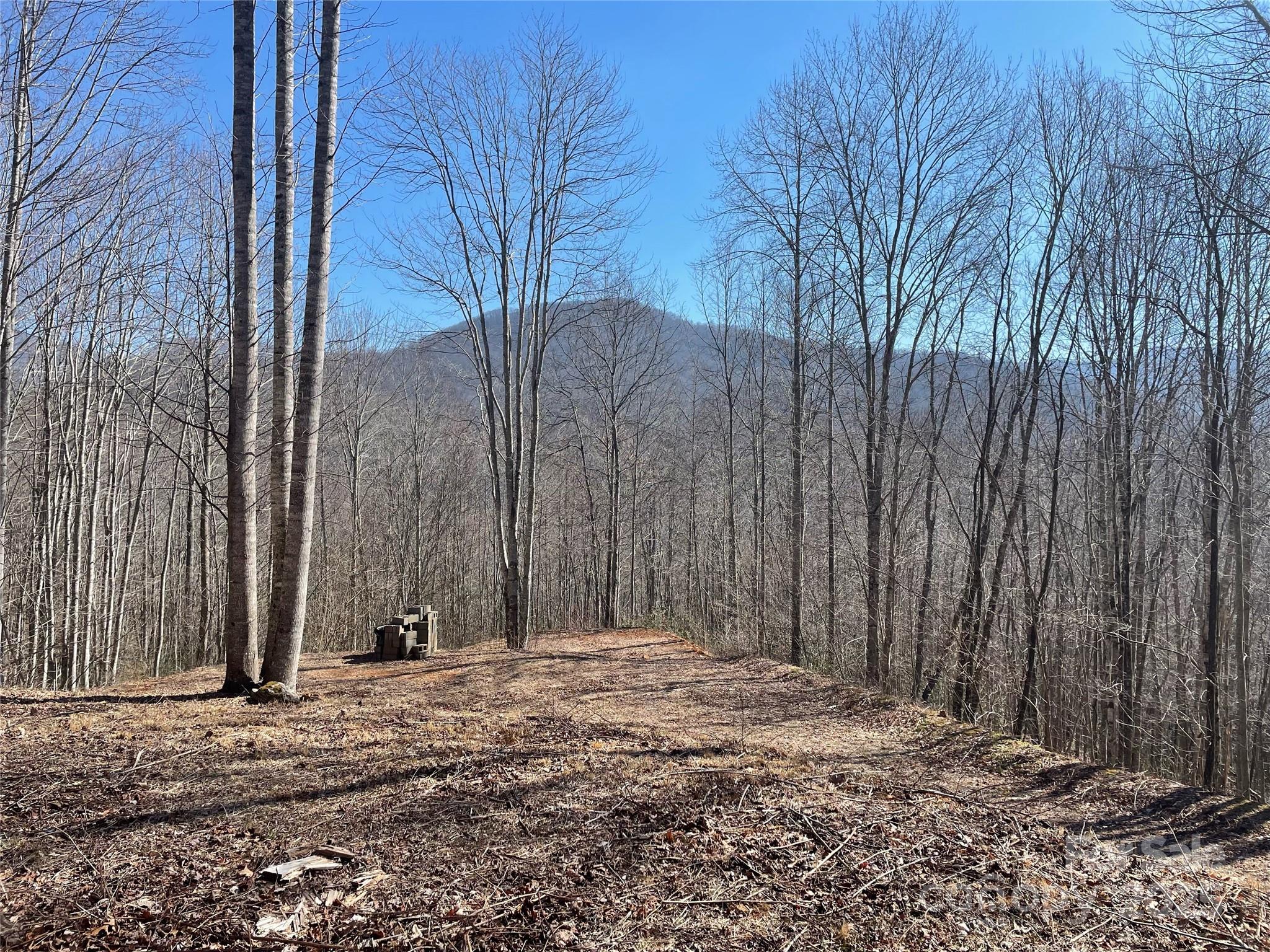 Balsam Mountain Preserve - Land
